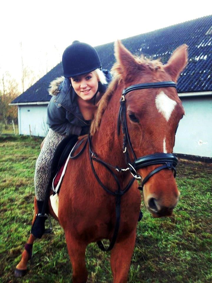 Anden særlig race Queen billede 4