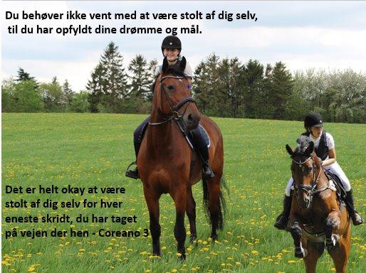 Holstener Coreano 3 - Den bedste dreng i mit liv <3 billede 20