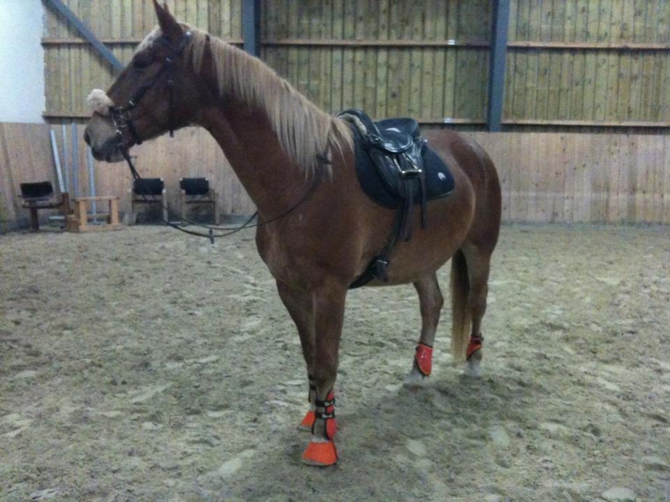 Frederiksborg | Ajaxander Jones (Ajax) billede 35