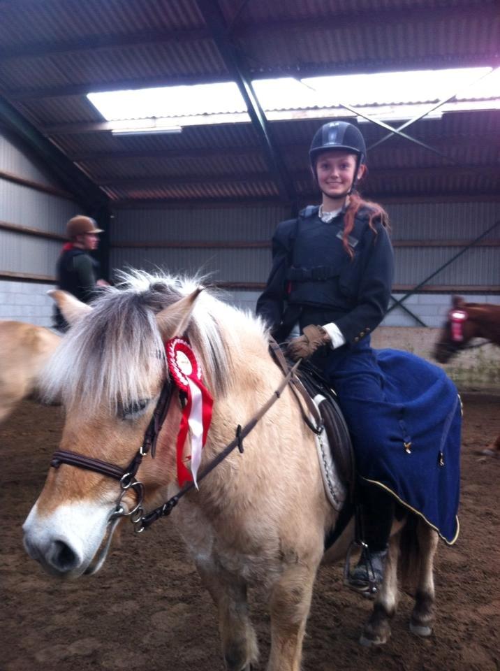 Fjordhest Shadow - 1. Plads i spring! <3 billede 5