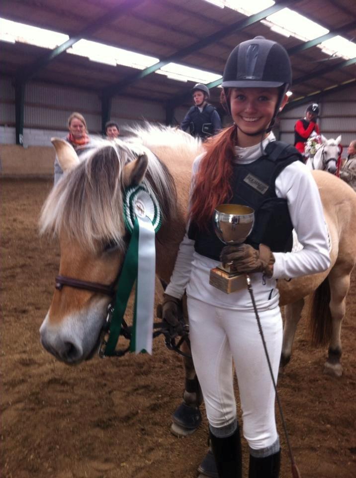 Fjordhest Shadow billede 14