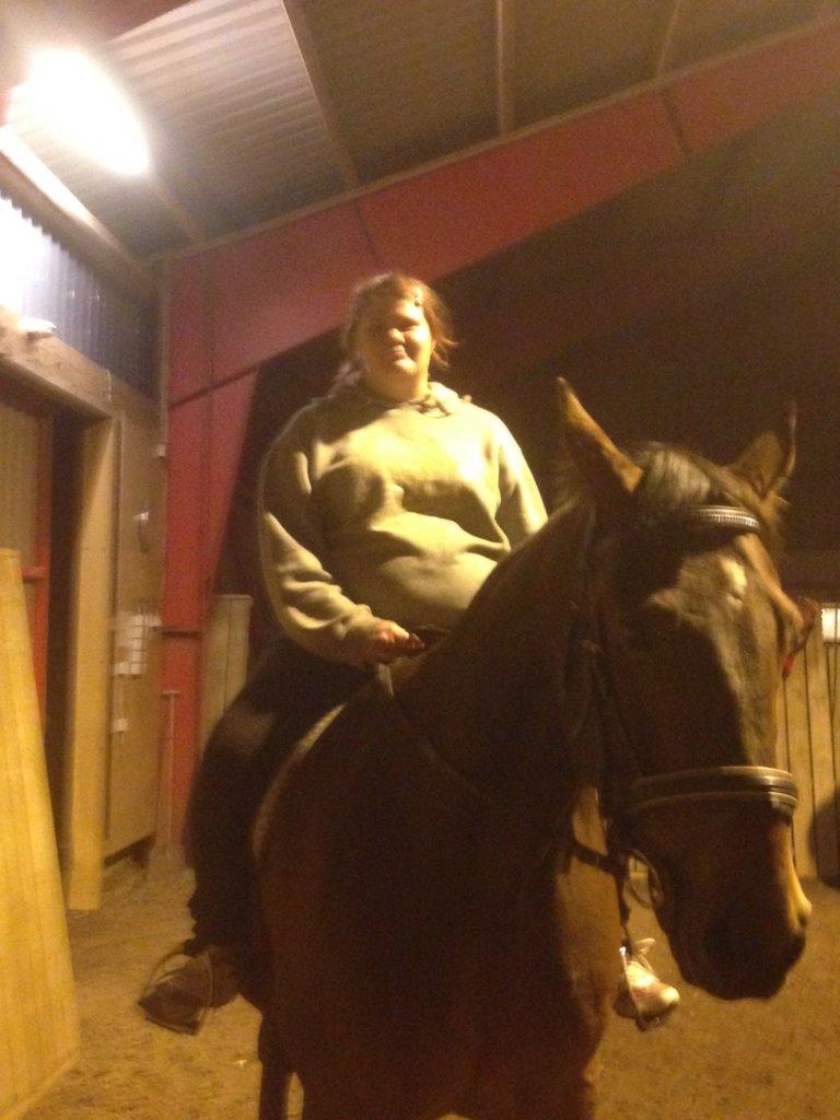 Traver filur ravn billede 12