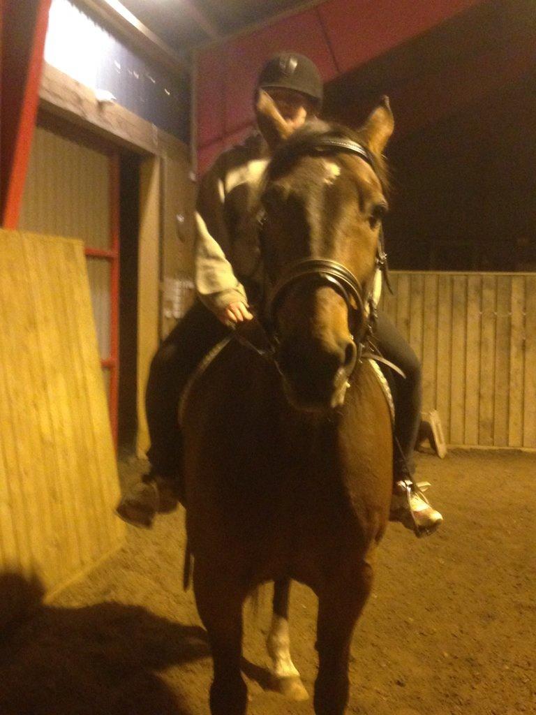 Traver filur ravn billede 5