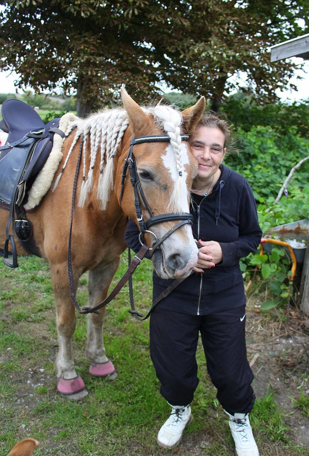 Tyroler Haflinger Tessa billede 12