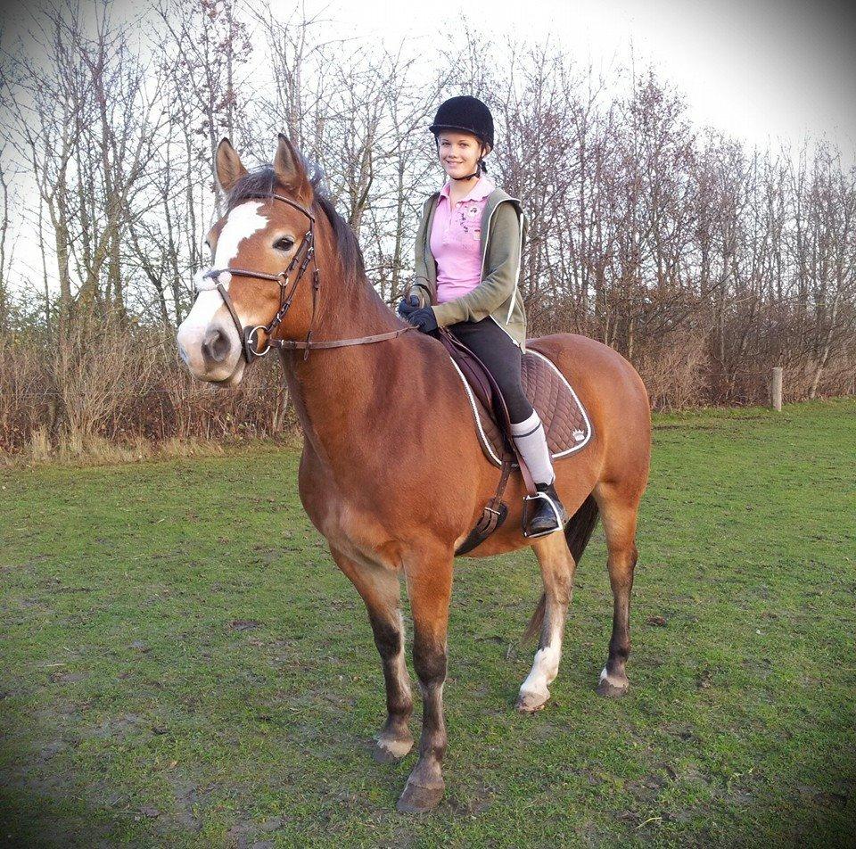 Anden særlig race My soulmate - Wariant <3 - Første ride tur på prinsessen. D. 2 november 2013 Foto - Hannah. billede 17