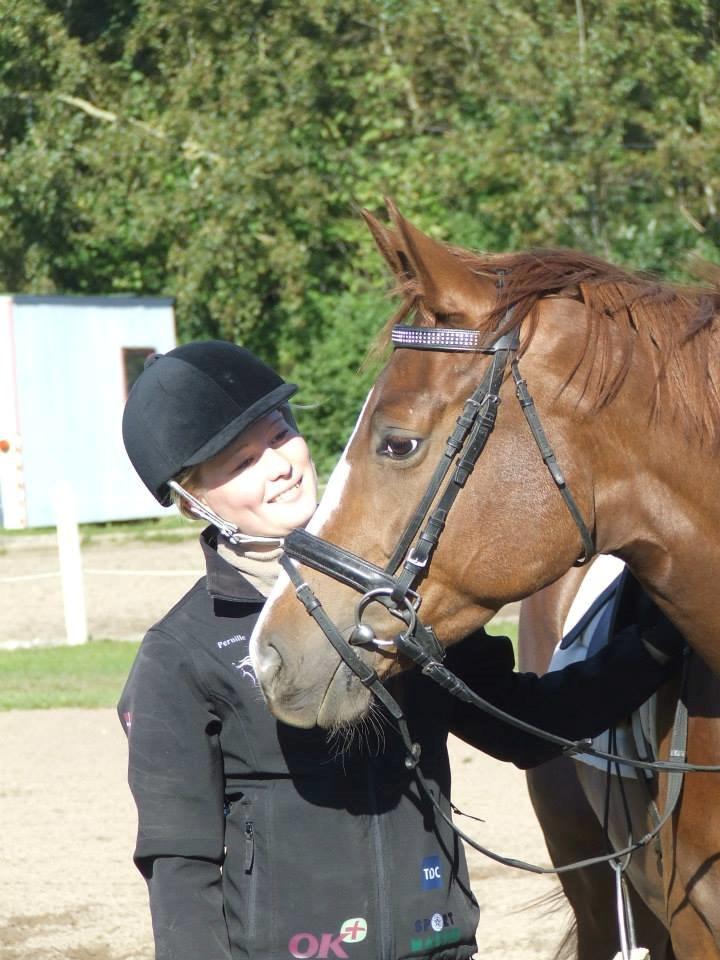 Trakehner Klokkeblomst Hedevig billede 7