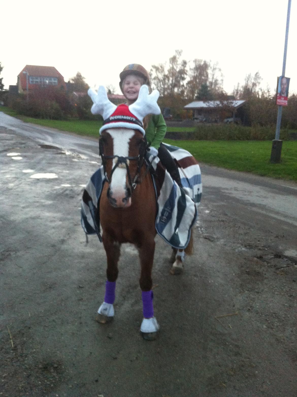 Anden særlig race Sky!<3 billede 5