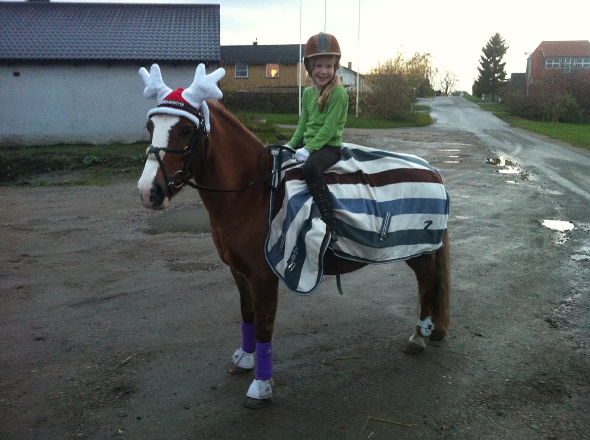 Anden særlig race Sky!<3 - Velkommen til Skys profil :-) billede 1