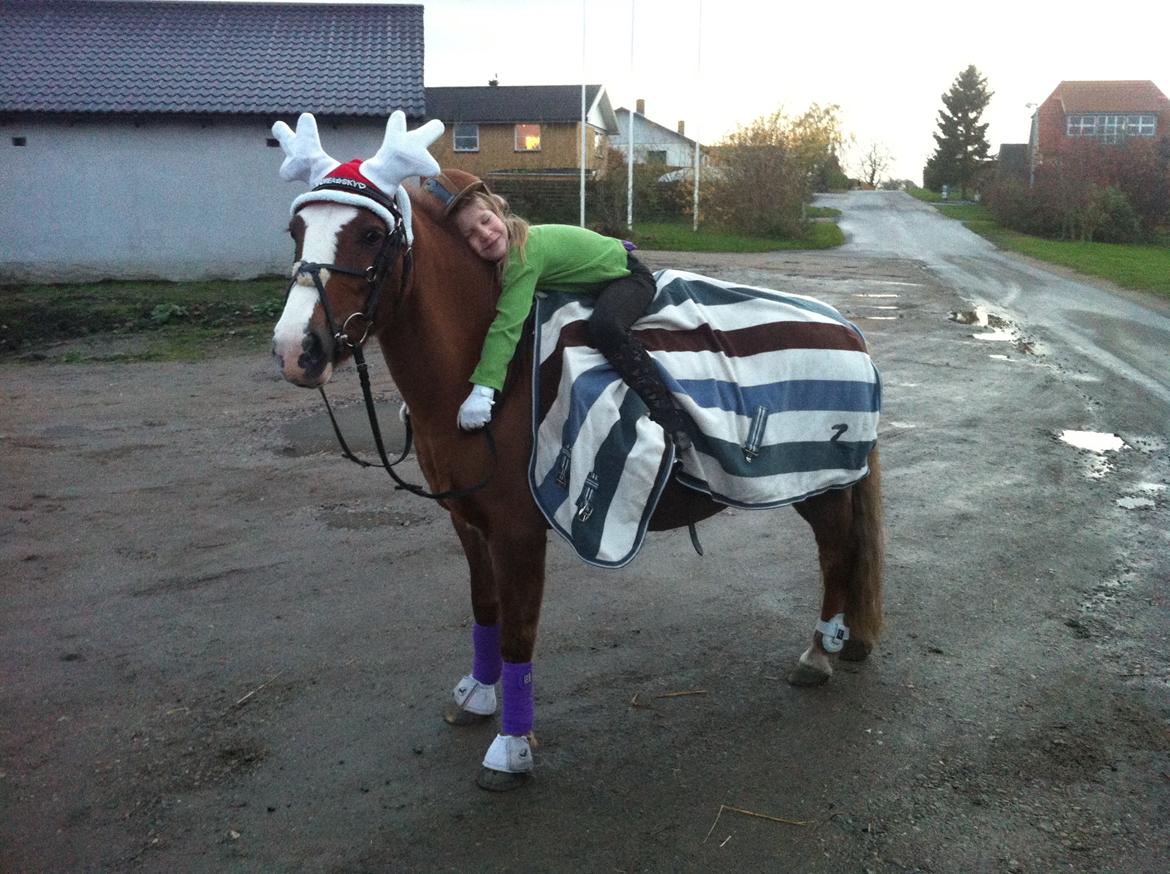 Anden særlig race Sky!<3 - krammer til den søde pony billede 2