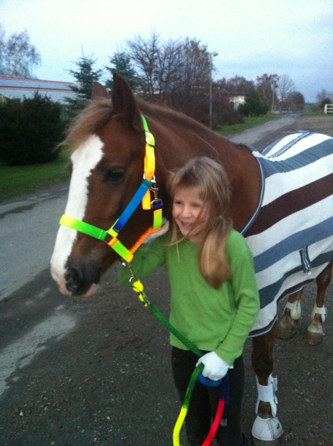 Anden særlig race Sky!<3 billede 8
