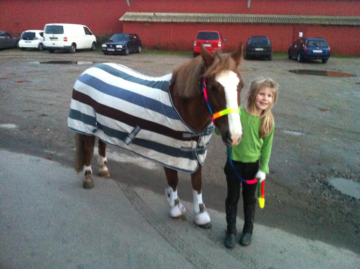 Anden særlig race Sky!<3 billede 9
