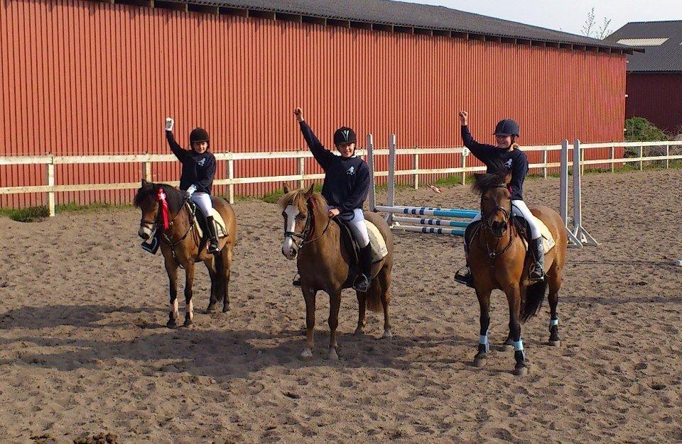 Anden særlig race Sky!<3 - Sky i midten(med rikke), Sky til stævne - søster er nummer tre (til højre) på bruno :D billede 14
