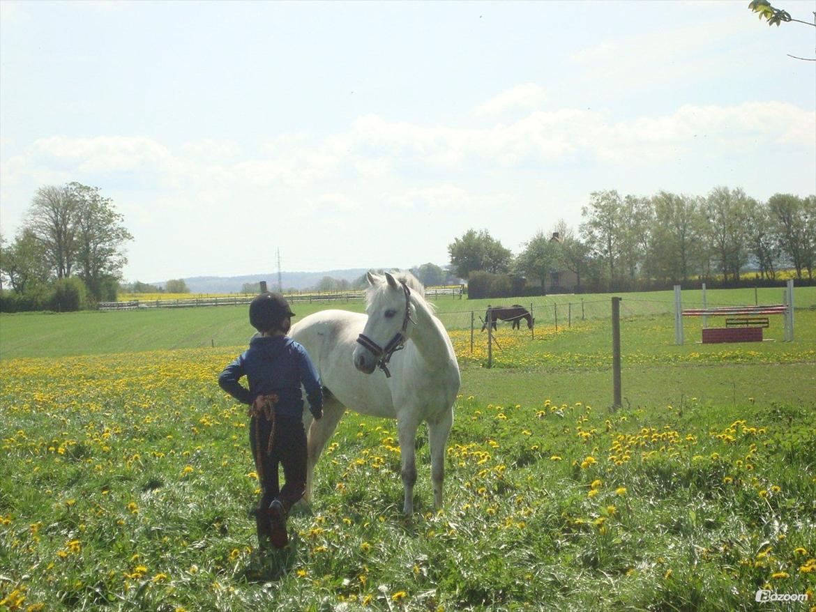 Anden særlig race Ullive - Heeeeeeej Trine,  skal jeg ind nu? kun hvis du har noget jeg kan spise!:-D billede 1