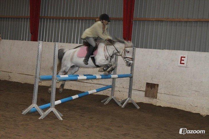 Anden særlig race Ullive - min søster og Ullive:-) billede 5