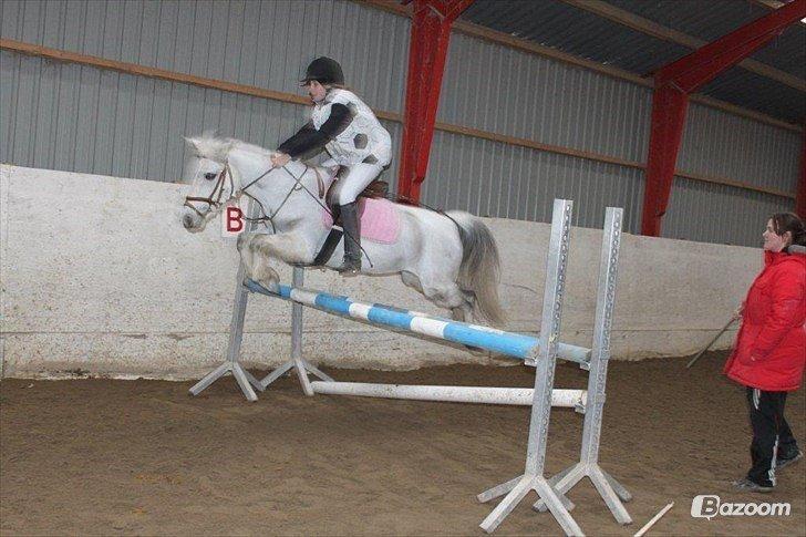 Anden særlig race Ullive billede 6