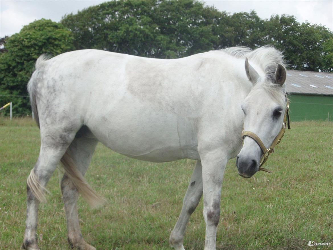 Anden særlig race Ullive - Søde Ullive <3<3:-D billede 7