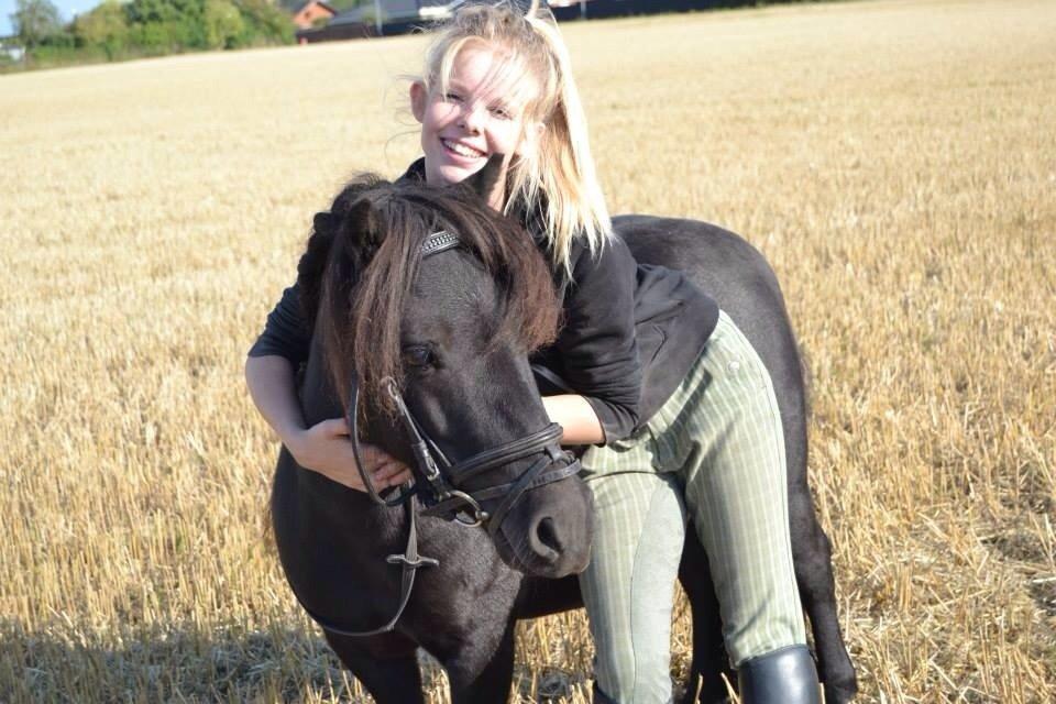 Shetlænder Harley - photoshoot billede 17