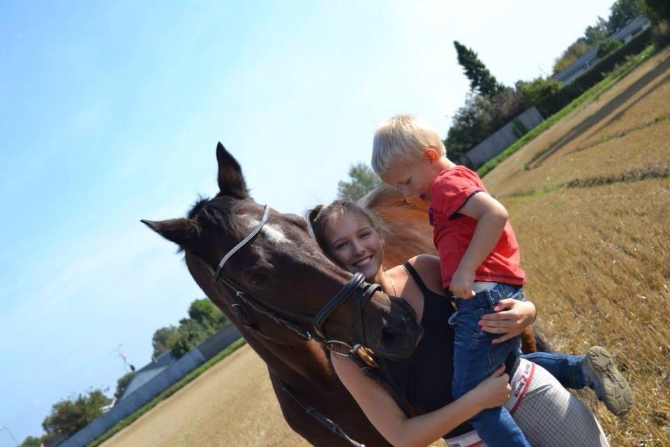 Trakehner Leonhard ( bamse ) billede 21