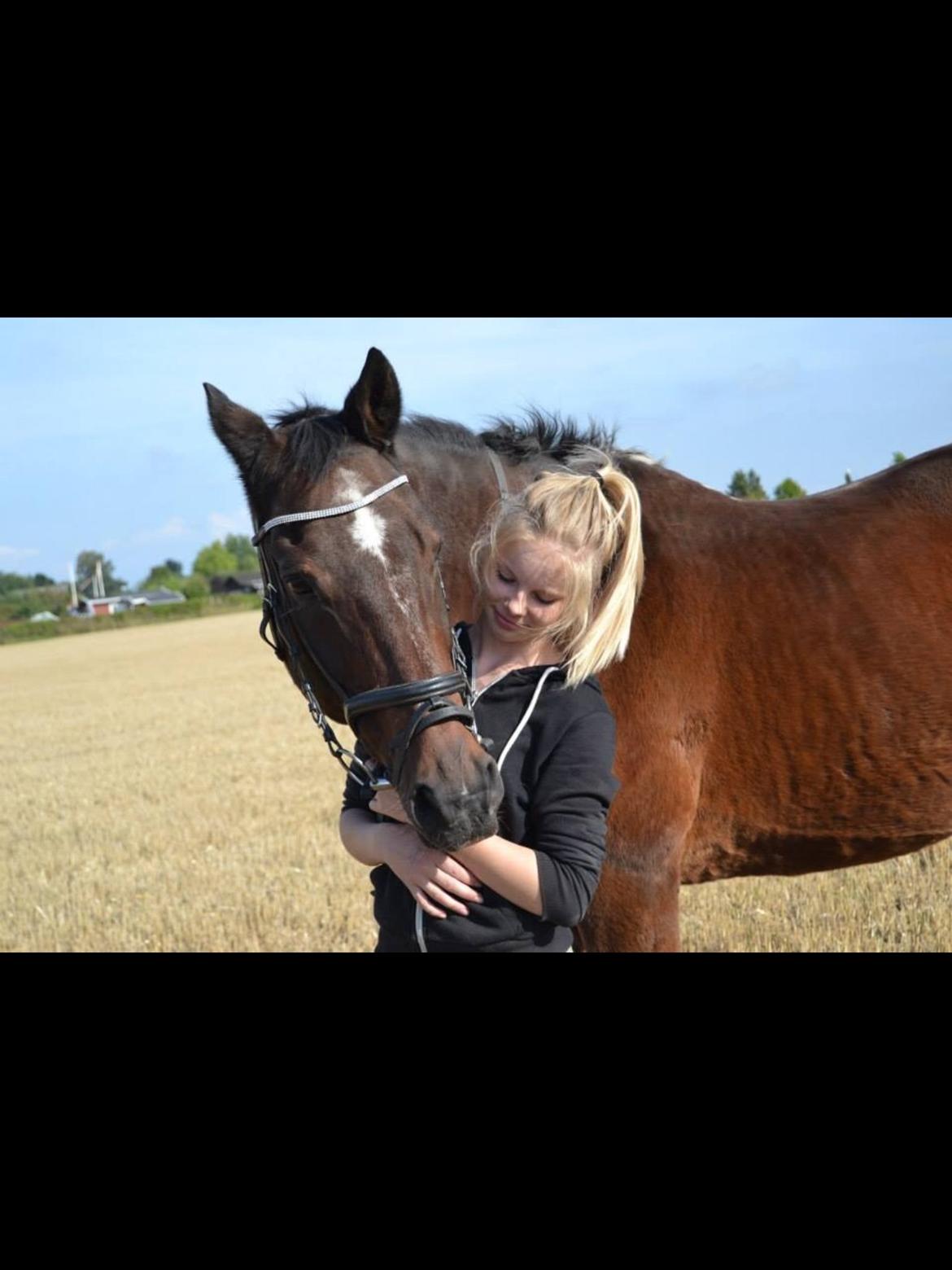 Trakehner Leonhard ( bamse ) billede 25