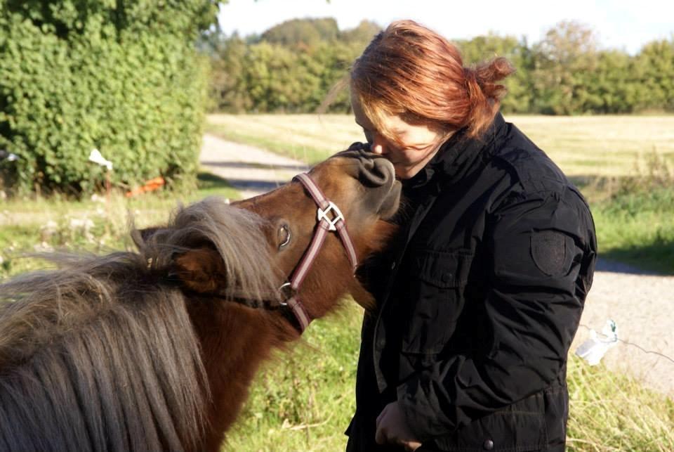 Shetlænder Tine!<3 (bamsen) - Jeg elsker min pige!<3<3 billede 2