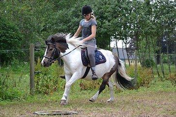 Anden særlig race Plet...<33 billede 20