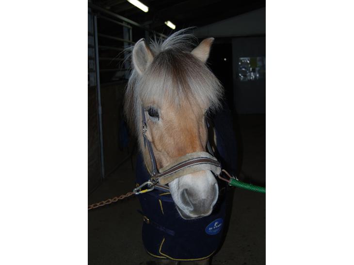 {{currentPhoto.altText}} billede {{currentPhoto.number}}