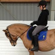 Anden særlig race Mille