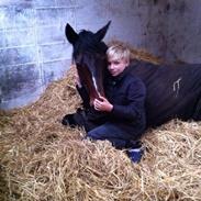 Anden særlig race Cherie