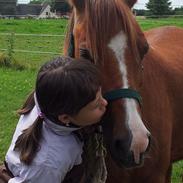 Anden særlig race Tristan R.I.P