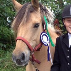 Anden særlig race Mille