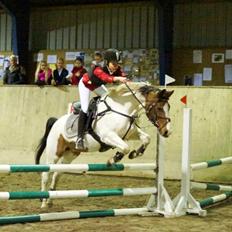 Pinto Oprah Winfrey (Miss O) <3