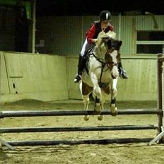 Pinto Oprah Winfrey (Miss O) <3