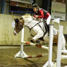 Pinto Oprah Winfrey (Miss O) <3