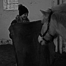 Fjordhest Skovsgaards Trond <3