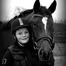 Dansk Varmblod Gørklintgårds Capana