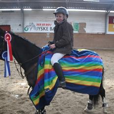 Welsh Pony (sec B) Bakkegaarden´s Chapain