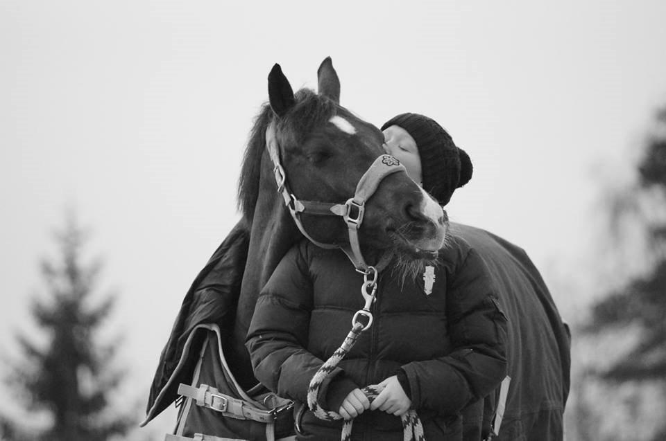 Hollandsk Sportspony | Radec<3 | (Toblerone) - you and me <3  billede 12