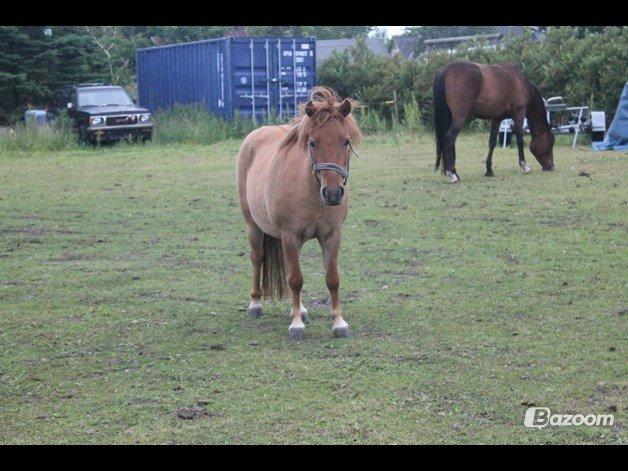 Anden særlig race Beauty - Er vi færdige nu?  billede 6