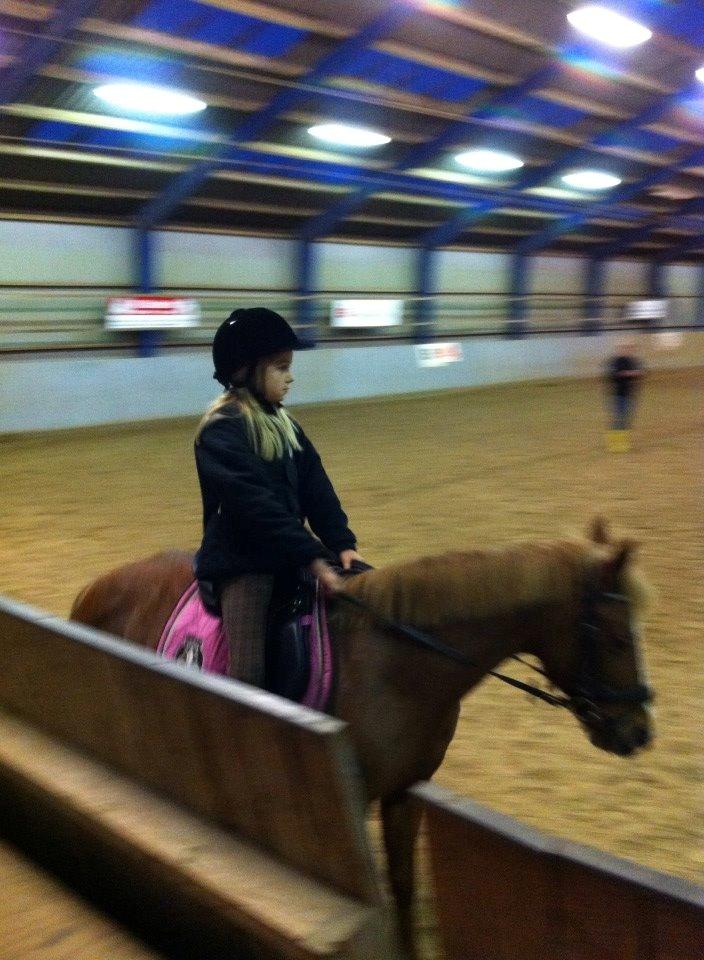 Anden særlig race Sally *Rider* billede 3