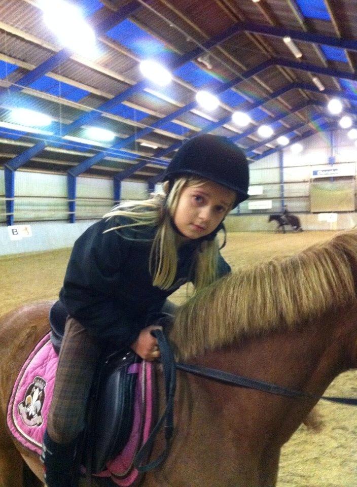 Anden særlig race Sally *Rider* billede 14