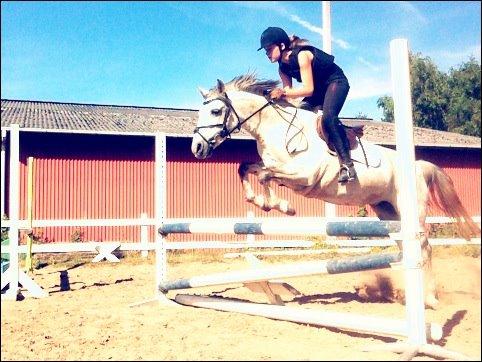 Shagya Araber (SH) Emely - Springtime på ponyen <3 billede 16