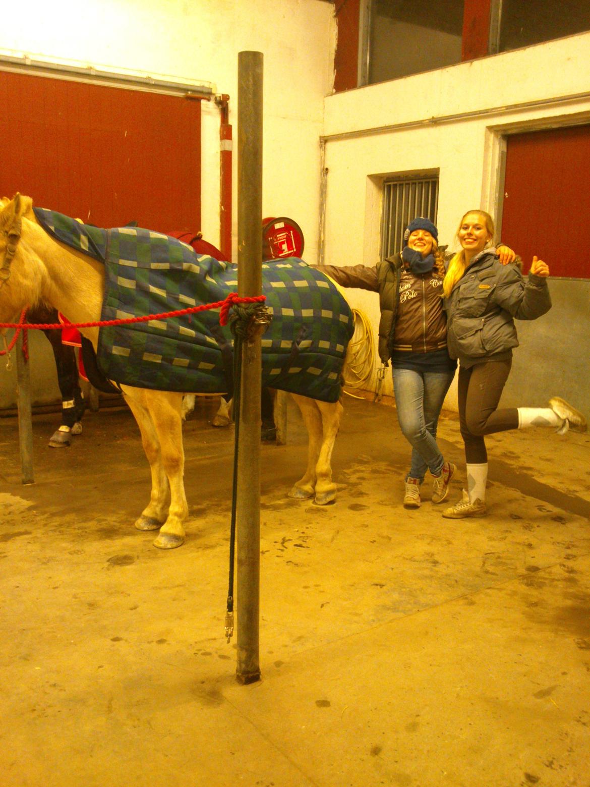 Fjordhest Romeo's Celine - man må finde sig i så meget som pony :-) billede 22
