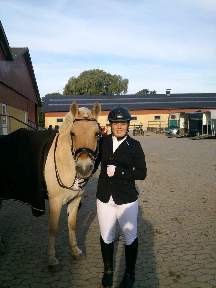Fjordhest Romeo's Celine - d. 14/9-13 vores anden LD1 og min søde pony slå vores rekord og går til 66,66%. for nogle er det måske ikke meget, men for os er det :-) billede 28