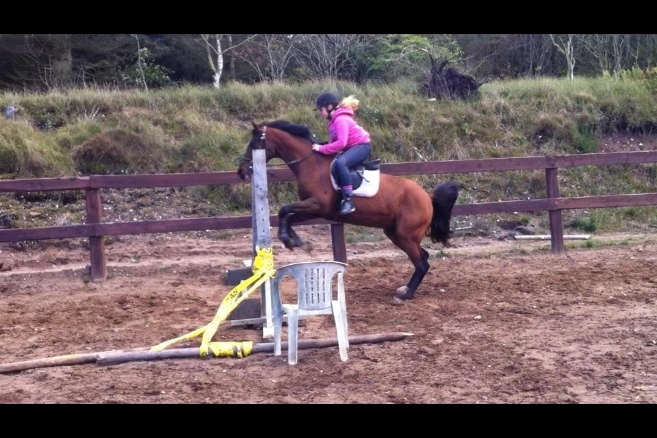 Arabisk fuldblod (OX) Pobhart - Dressur bøjler!
Men han elsker at springe billede 16