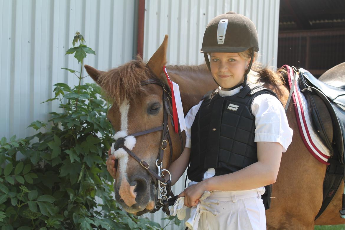 New Forest Engdalens Wendy - min bedste ven <3 - Stævne billede, så fotogen :* <3 Foto: Naja billede 35