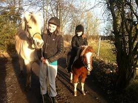 Fjordhest Rikke. - Frida på karl er hans part.
Mig og Rikke trækker tur sammen med dem. billede 6