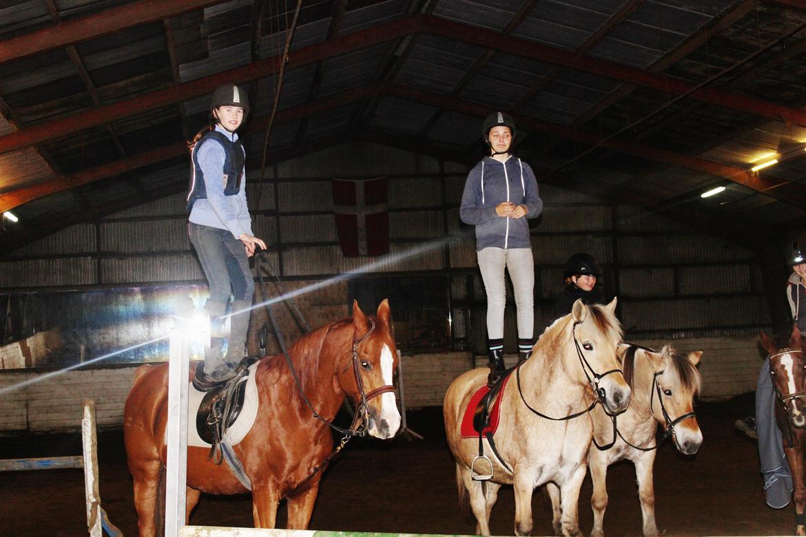 Fjordhest Rikke. - Amanda på Butcher og Mig på Rikke, Silke på Molly i baggrunden<3 billede 8