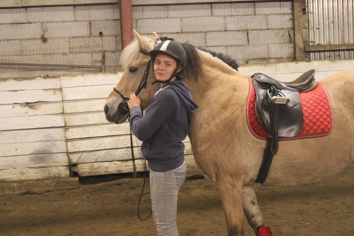 Fjordhest Rikke. - Efter spring træning Torsdag aften 
Ridelejr uge 42 
-2013 billede 9