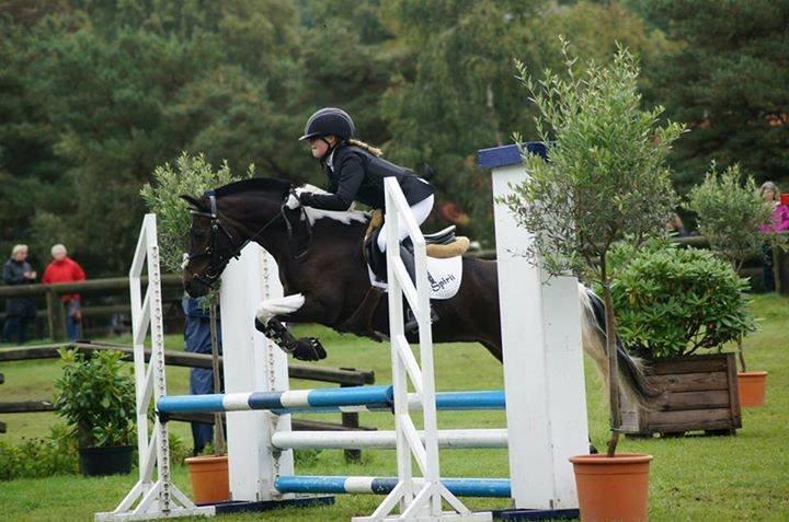 Pinto Spirit - god stil spille billede 14