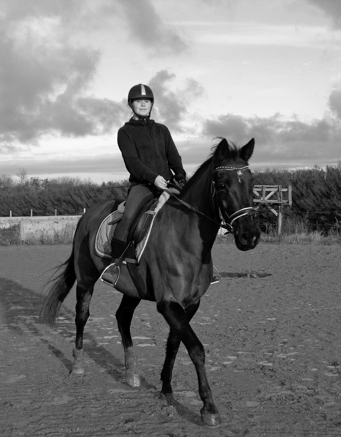 Anden særlig race Miss Shadow billede 15